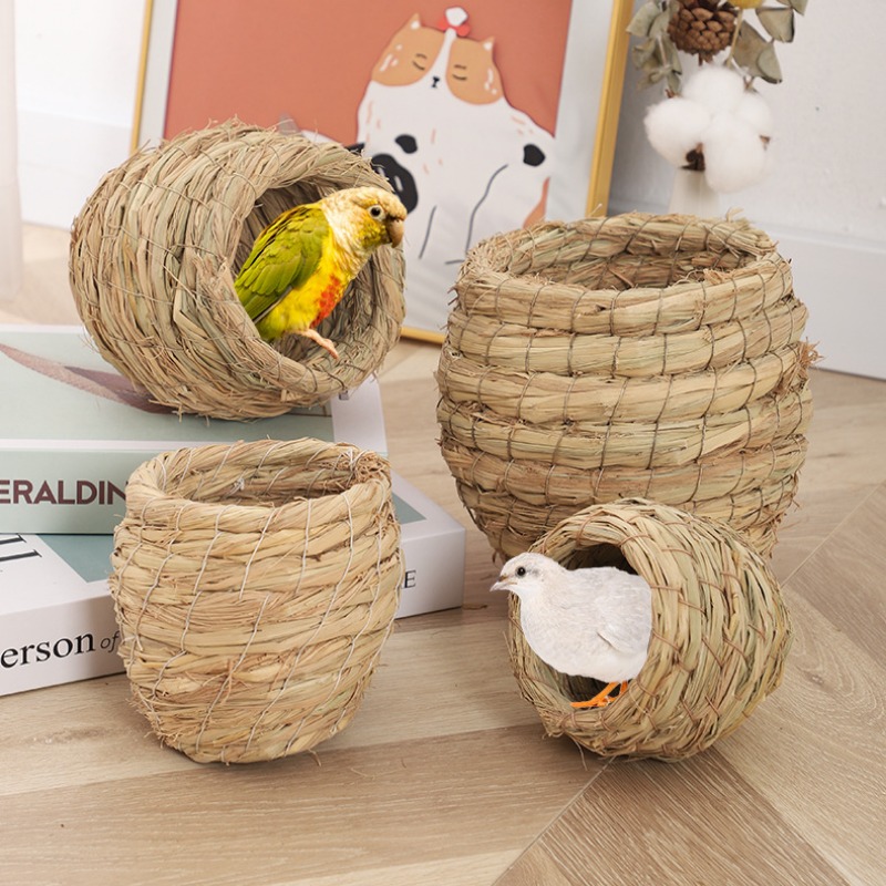 มือทอฟางไก่ Nest Bird Nest Bir - Hunting Quail บทวิจารณ์และราคา