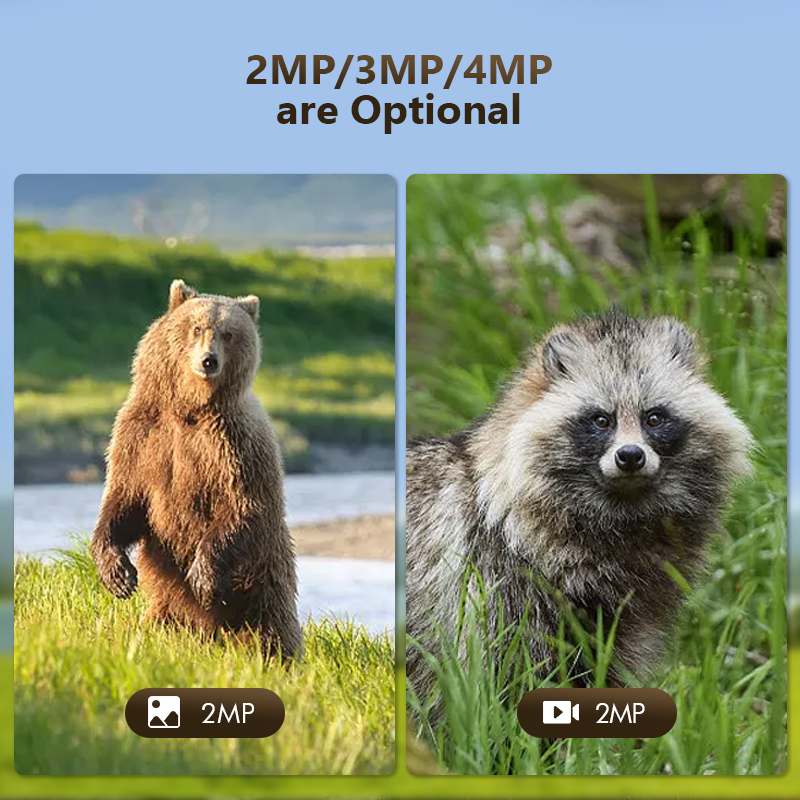 กล้องล่าสัตว์ป่ากลางแจ้ง4MP 4G - Hunting Outdoor Game บทวิจารณ์และราคา